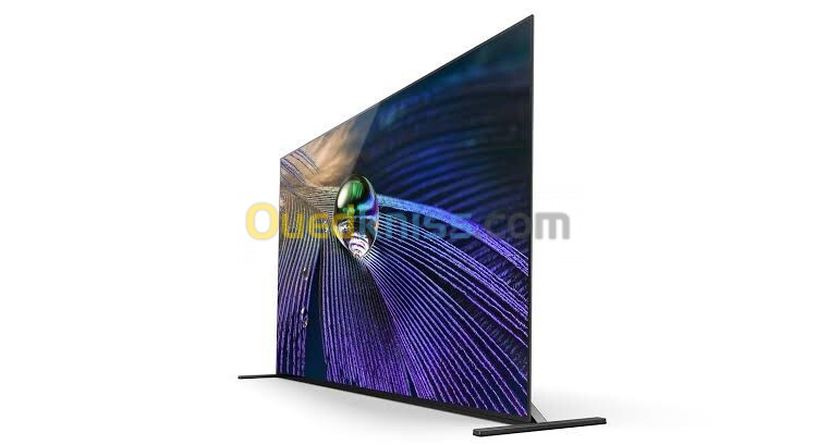 Sony OLED 65A90J