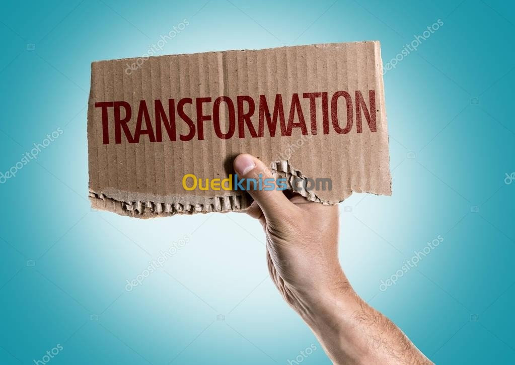 Transformation tout types du Carton