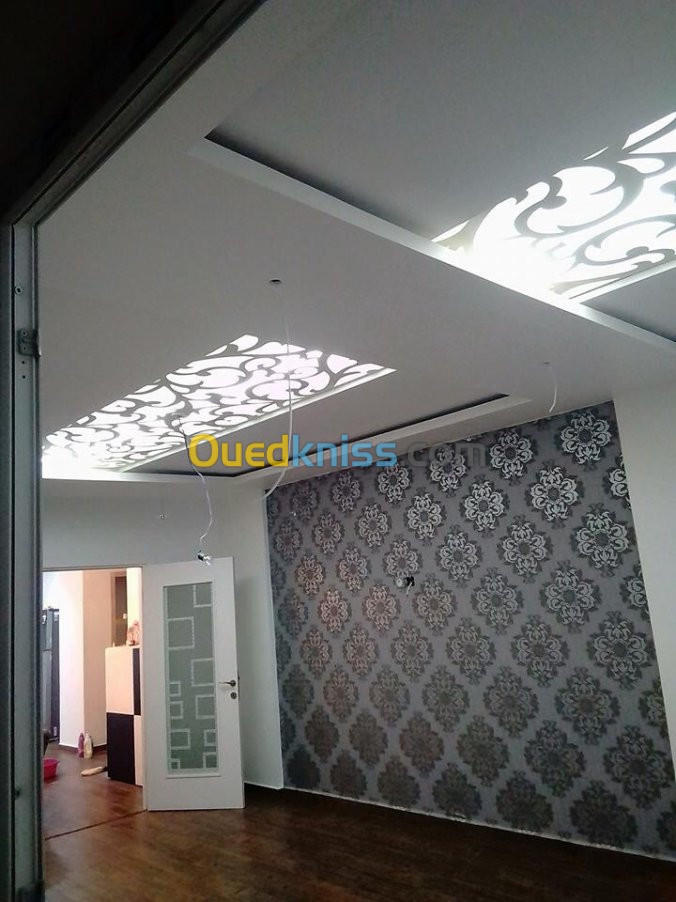 Plafond pvc et placoplatre