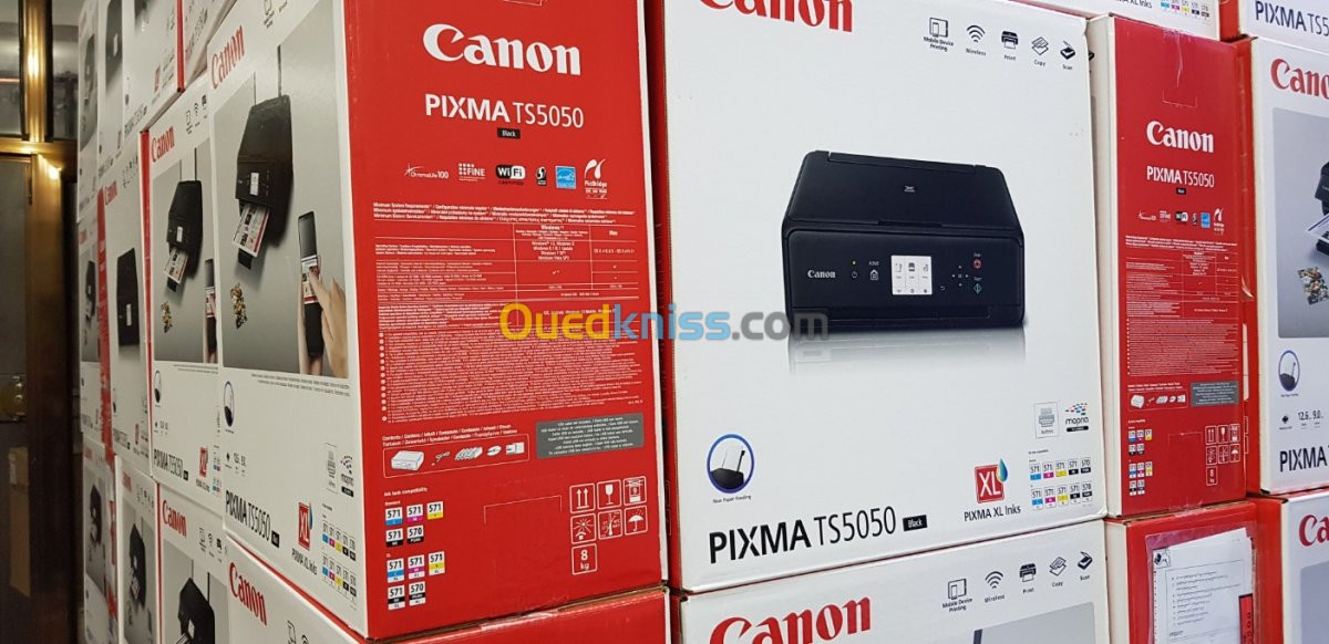 Cartouche Canon PIXMA TS5150