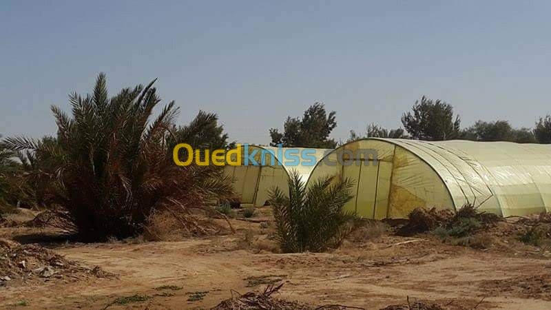 Vente Terrain Agricole Biskra Oumache