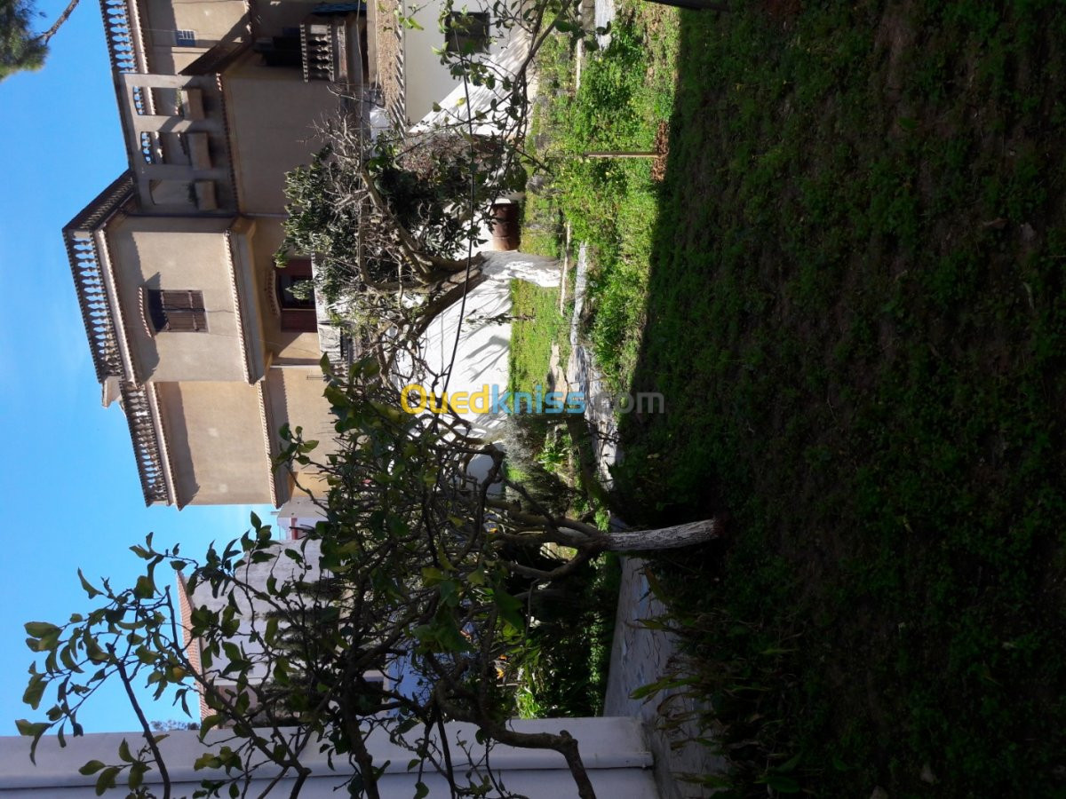 Vente Terrain Alger Bouzareah