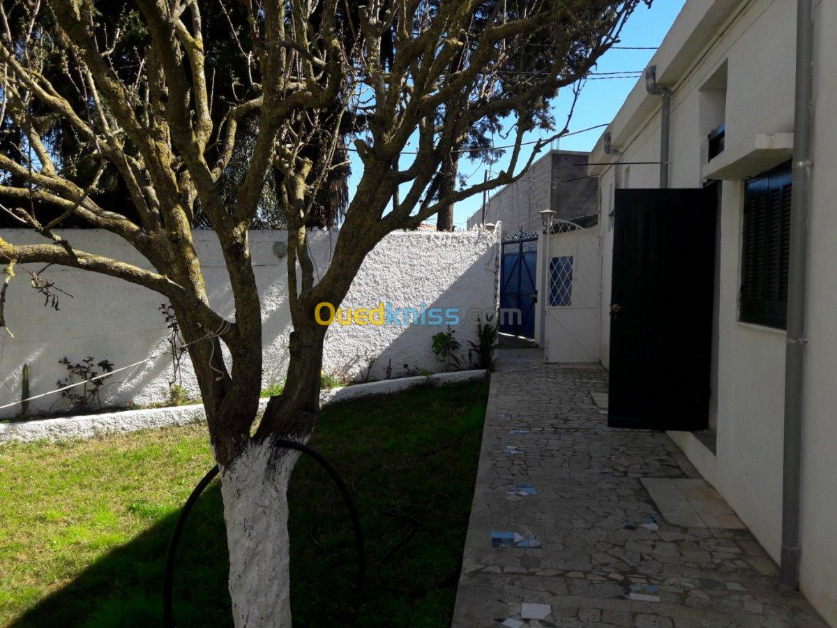 Vente Terrain Alger Bouzareah