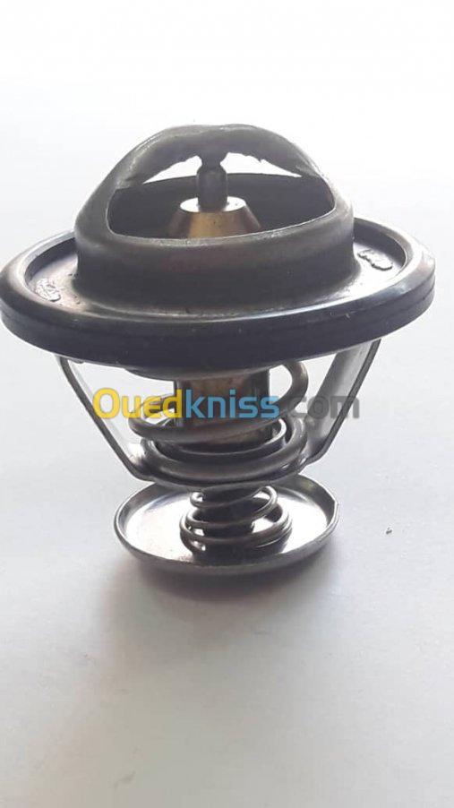 THERMOSTAT GONOW ESSENCE