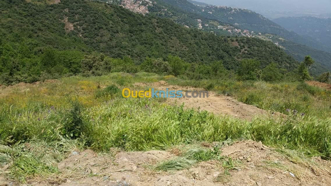 Vente Terrain Tizi ouzou Ait aggouacha