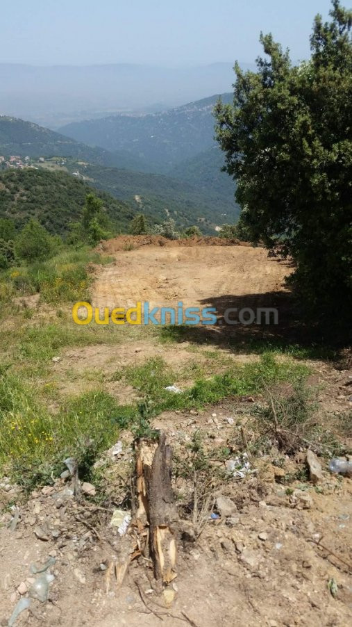 Vente Terrain Tizi ouzou Ait aggouacha