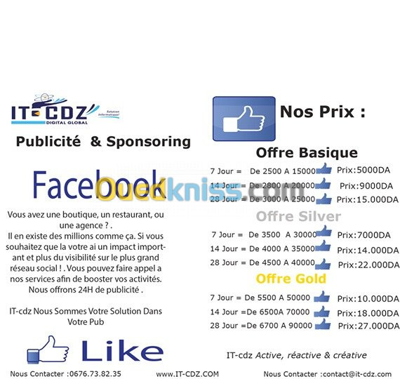 Publicité sur Facebook & Sponsoring 