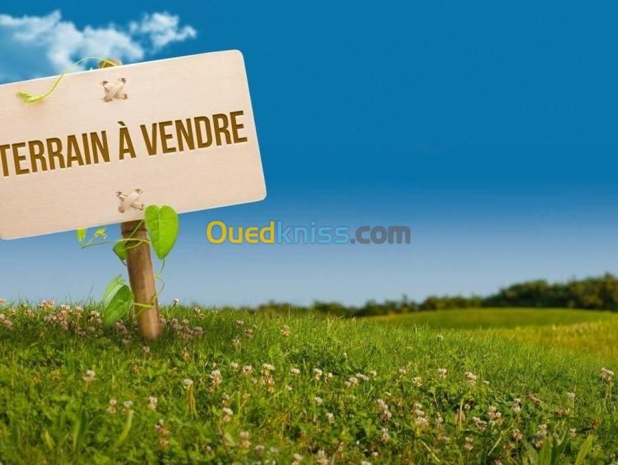 Vente Terrain Tizi ouzou Azazga