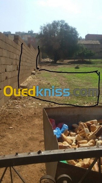 Vente Terrain Relizane Oued rhiou