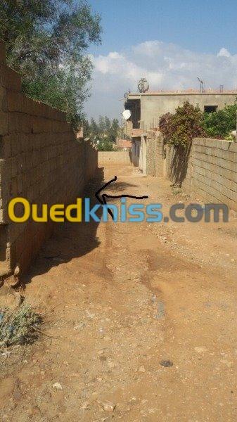 Vente Terrain Relizane Oued rhiou