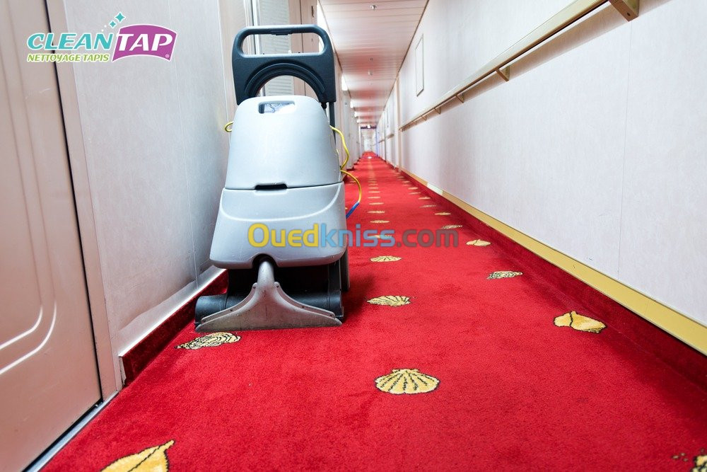 NETTOYAGE TAPIS ET MOQUETTES