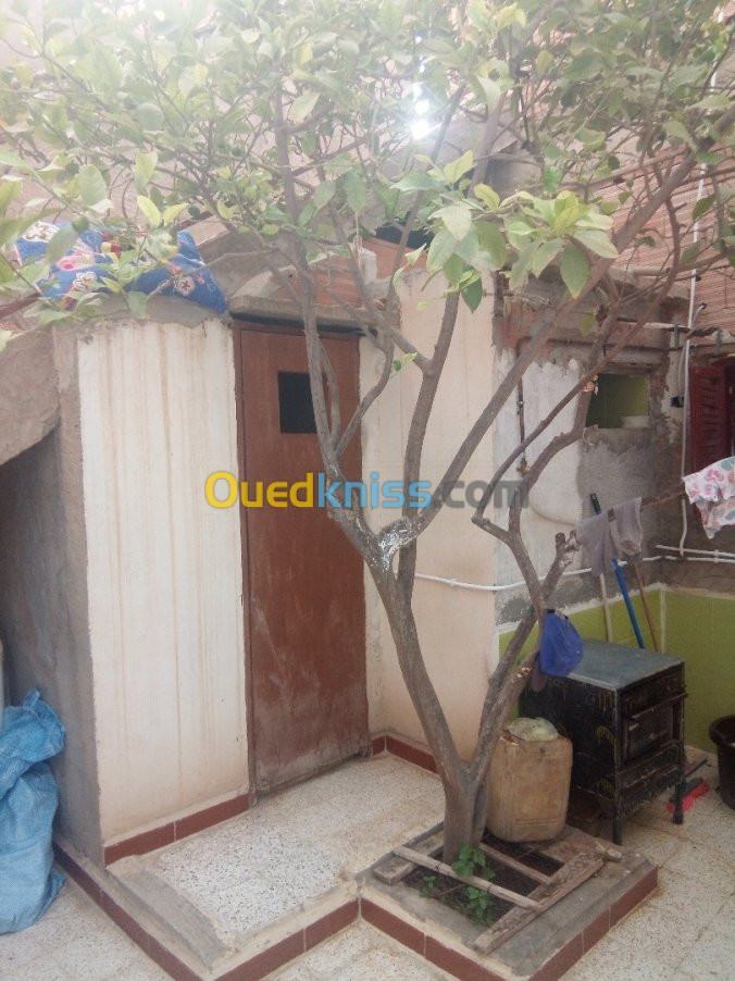 Vente Villa Relizane Bendaoud