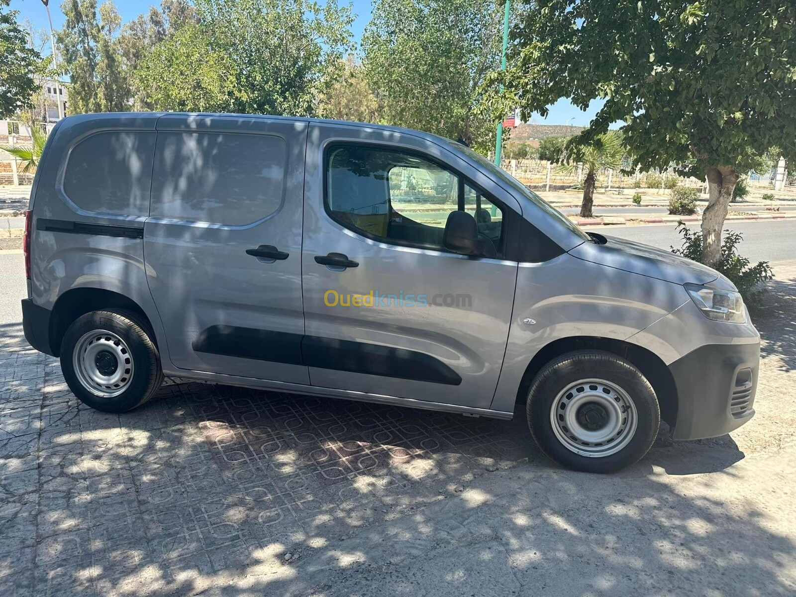 Fiat Doblo 🇩🇿 2024 Professional