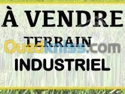 Vente Terrain Oran Tafraoui