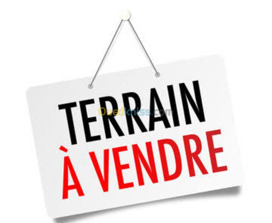 Vente Terrain Oran Bir el djir