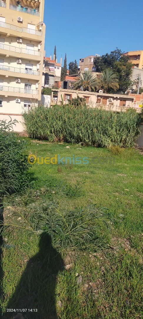 Vente Terrain Alger Cheraga