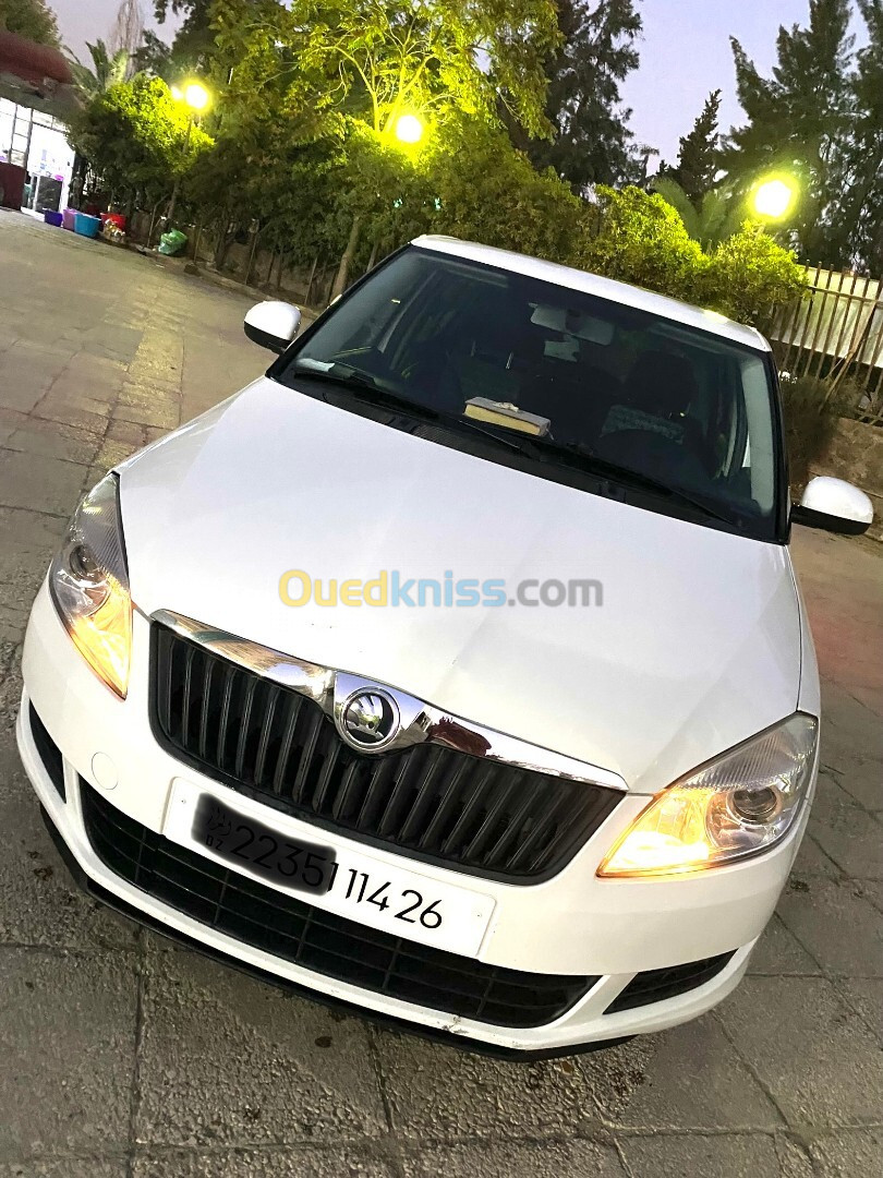 Skoda Fabia 2014 Visage