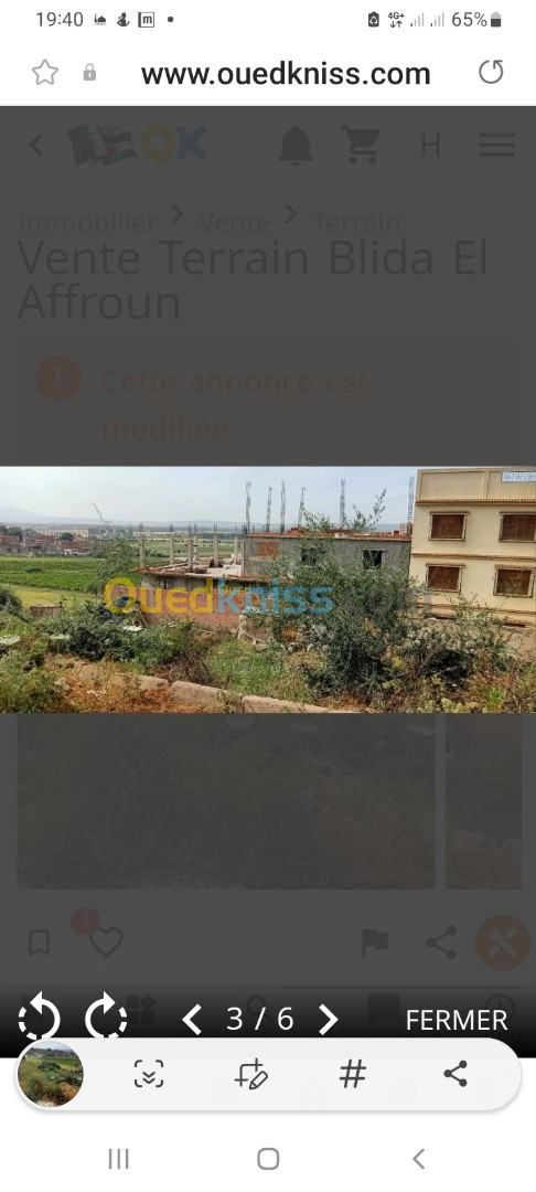 Vente Terrain Blida El affroun