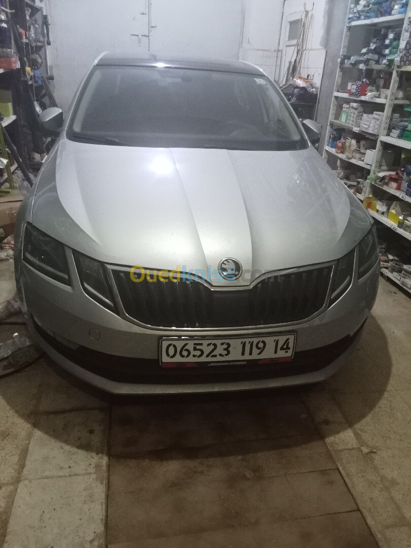 Skoda Octavia 2019 Clever