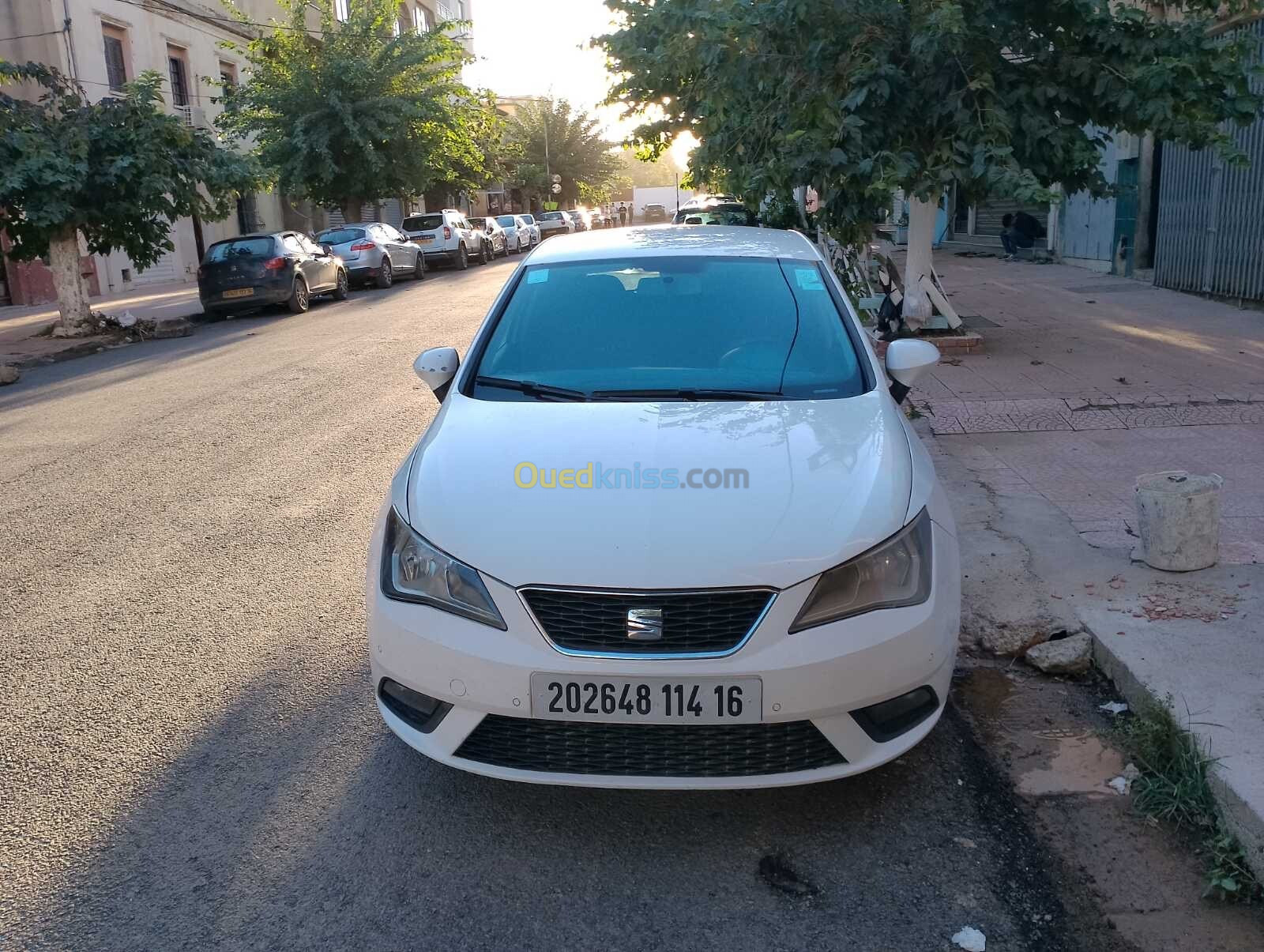 Seat Ibiza 2014 Crono