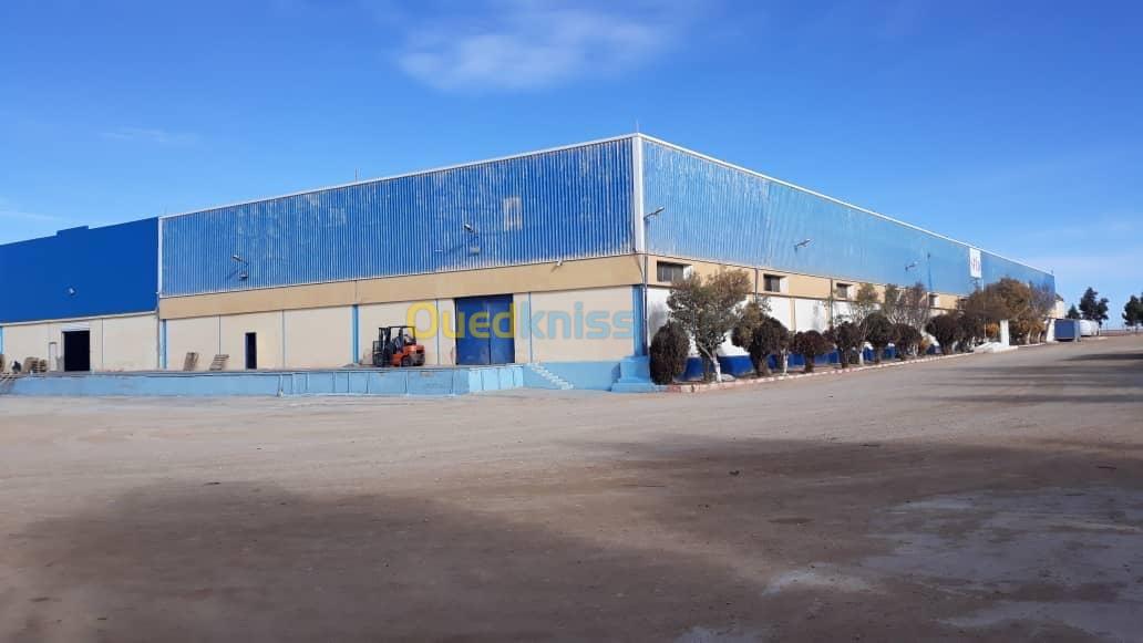 Vente Usine Tipaza Ahmar el ain