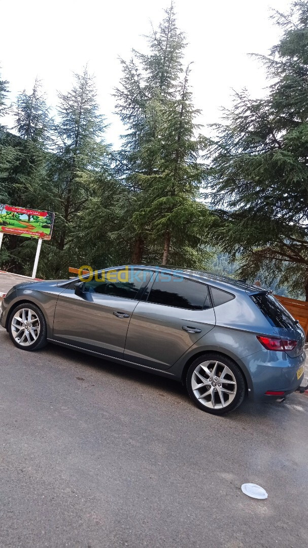 Seat Leon 2017 FR+15