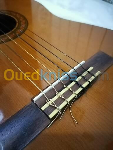 Guitare classic C40