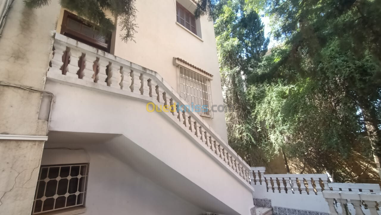 Location Appartement F4 Alger Said hamdine