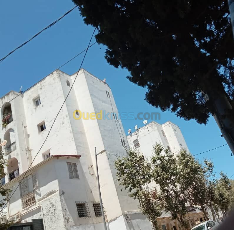 Location Appartement F3 Alger Said hamdine