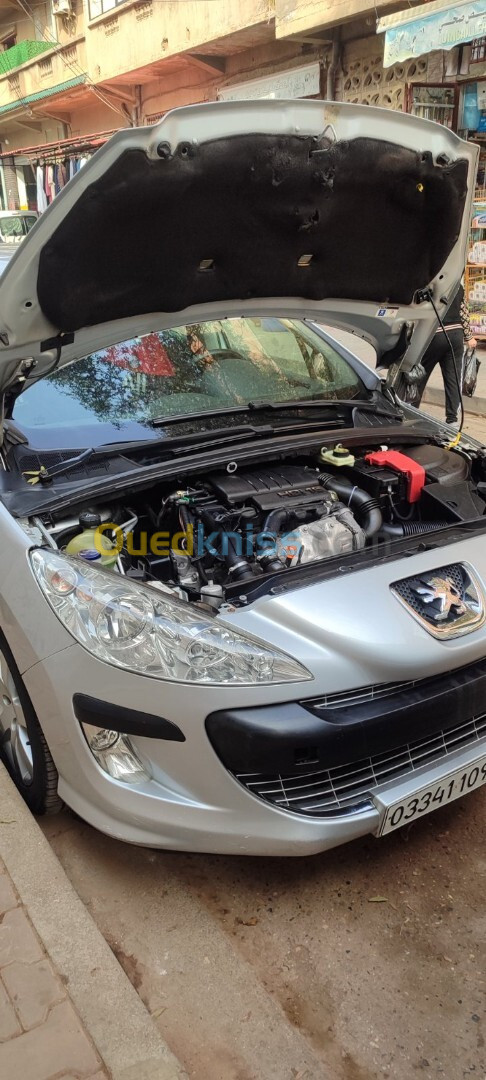 Peugeot 308 2009 Platinum 