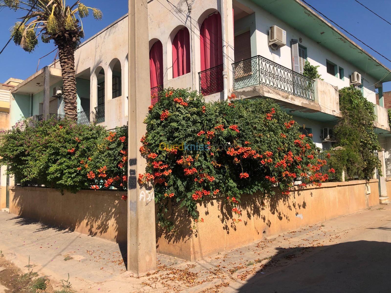 Vente Villa Chlef Chlef