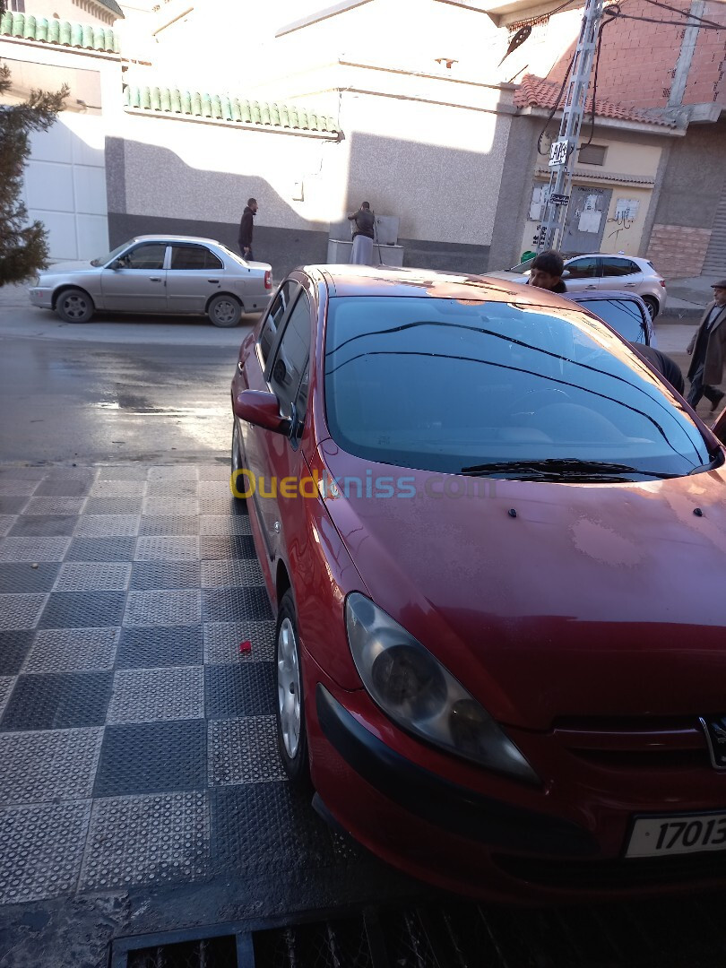 Peugeot 307 2003 307