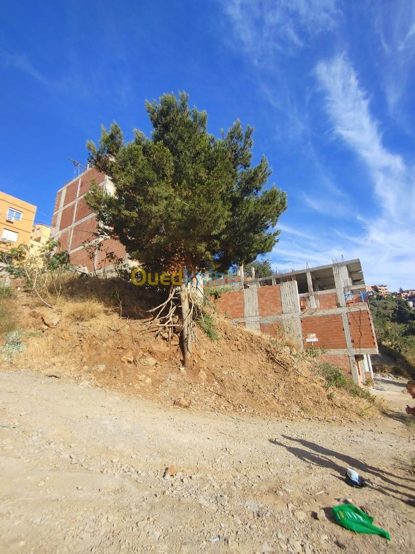 Vente Terrain Alger Rais hamidou