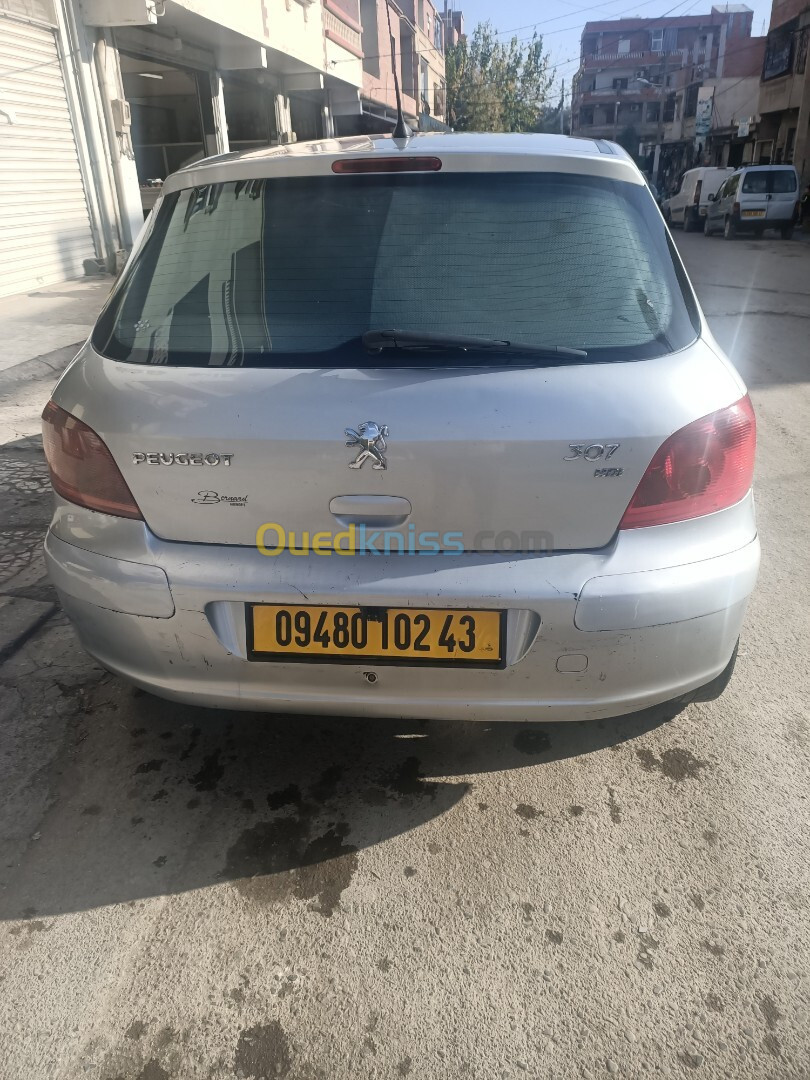 Peugeot 307 2002 307