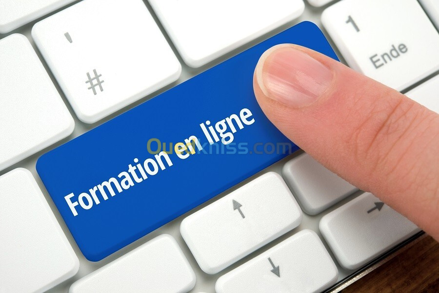 Des Formations sur l'analyse de données qualitatives et quantitatives Power BI, Python, SPSS, R, SPSS AMOS, EXCEL , Nvivo