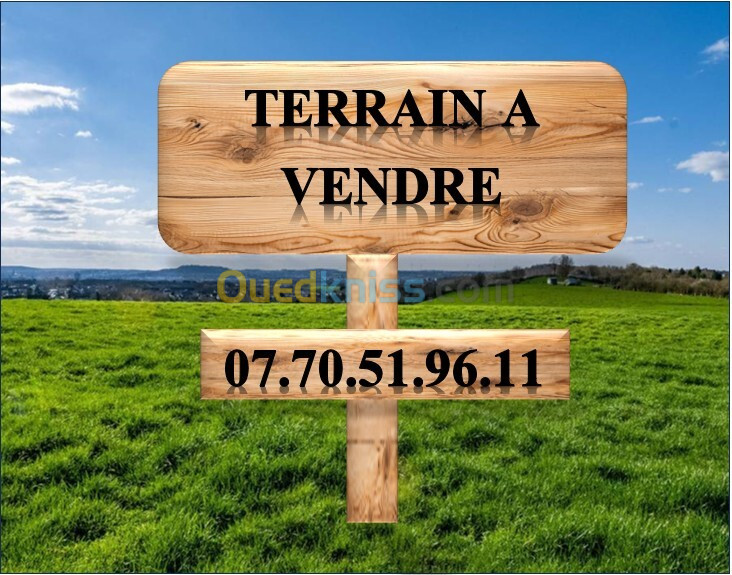 Vente Terrain Oran Ain el turck