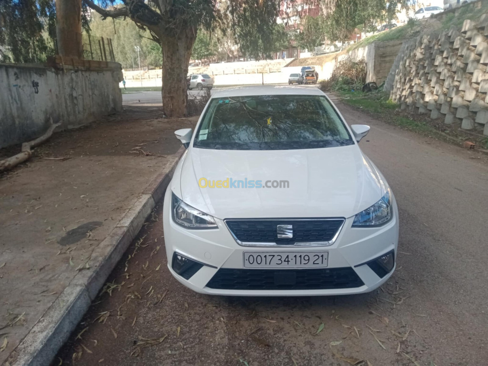 Seat Ibiza 2019 