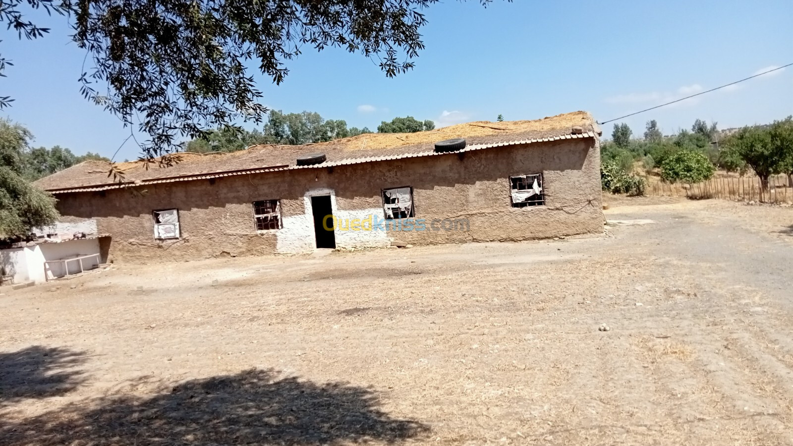 Location Hangar Guelma Guelma