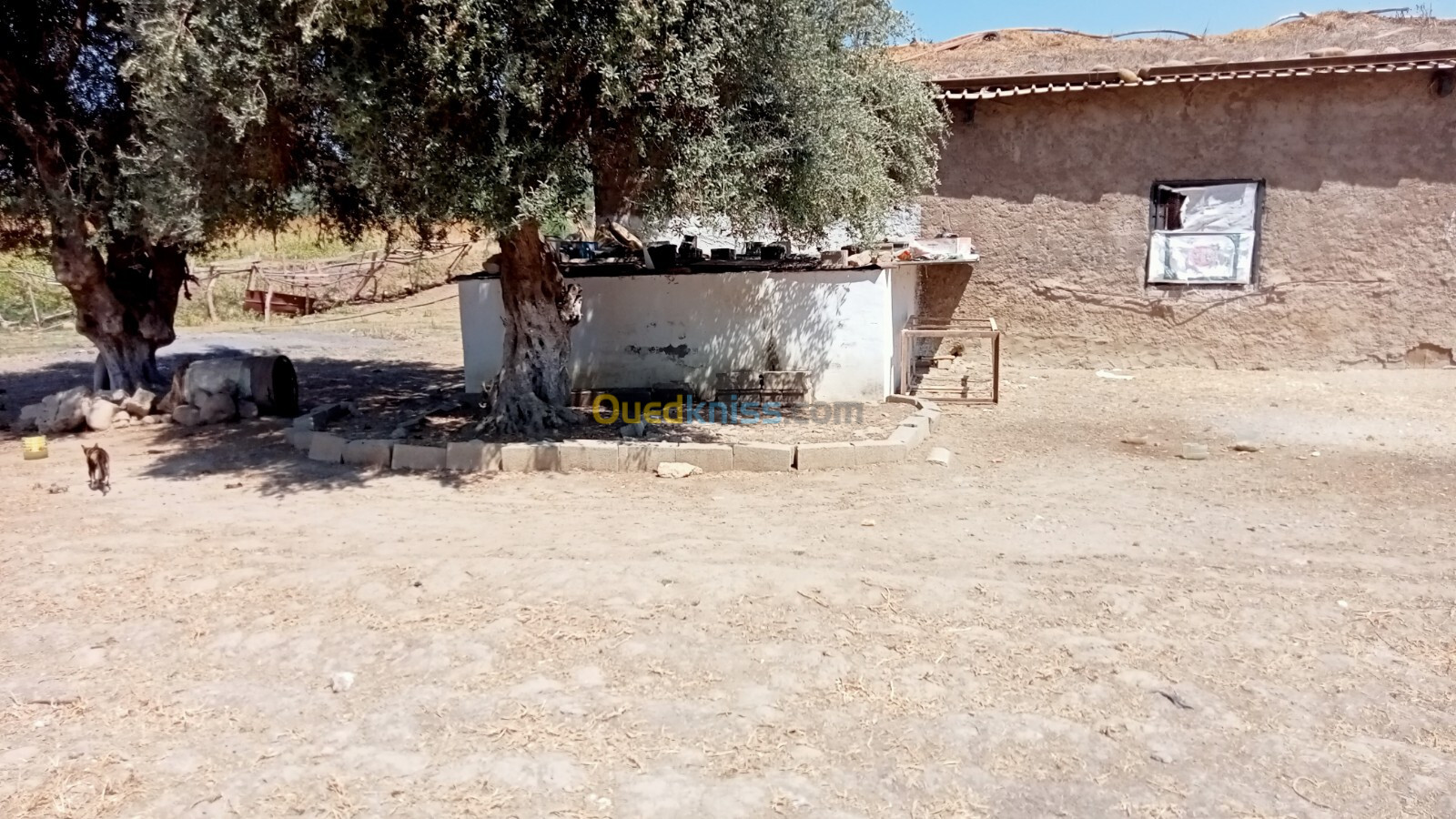 Location Hangar Guelma Guelma