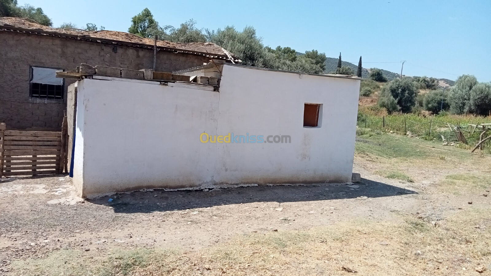 Location Hangar Guelma Guelma