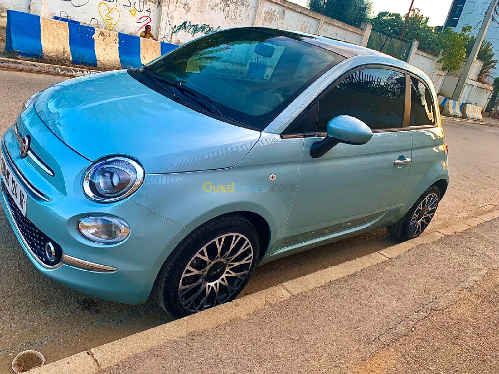 Fiat 500 2024 Dotge vita