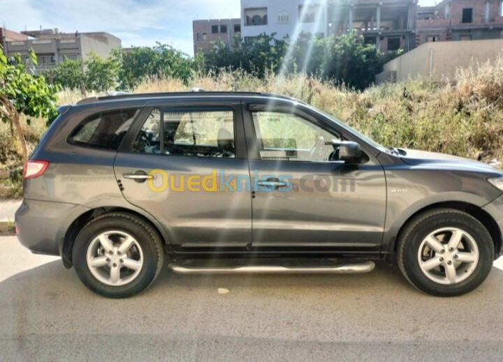 Hyundai SantaFe 2007 SantaFe