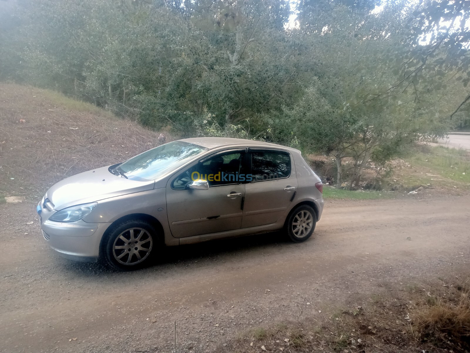 Peugeot 307 2002 307