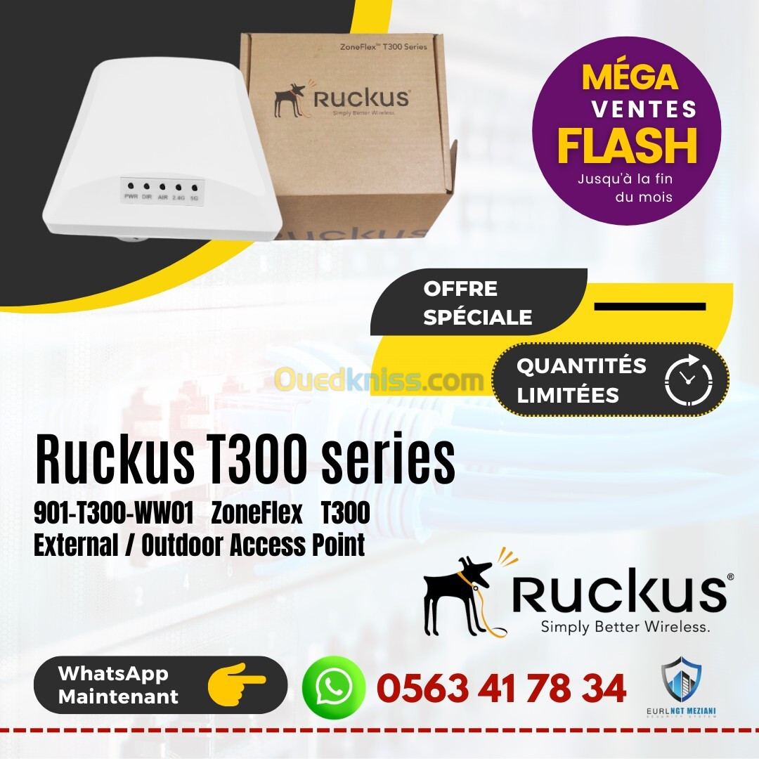 Ruckus T300 series