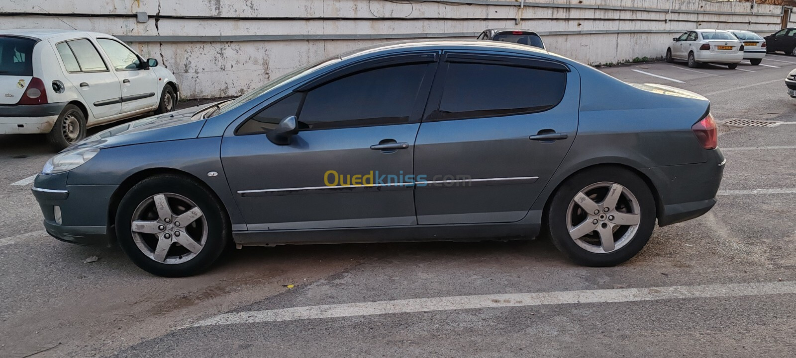 Peugeot 407 2007 407