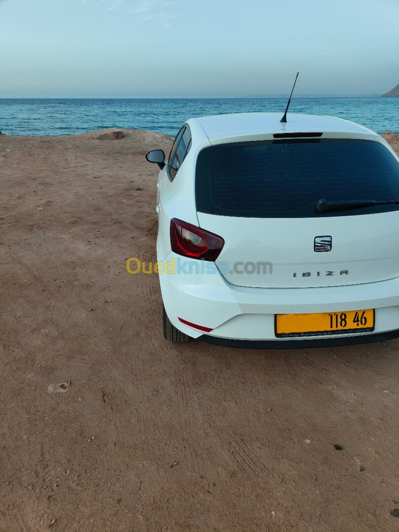 Seat Ibiza 2018 Sol