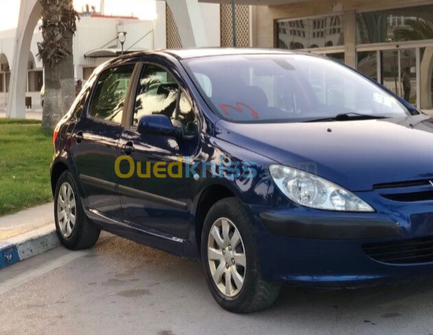 Peugeot 307 2004 307