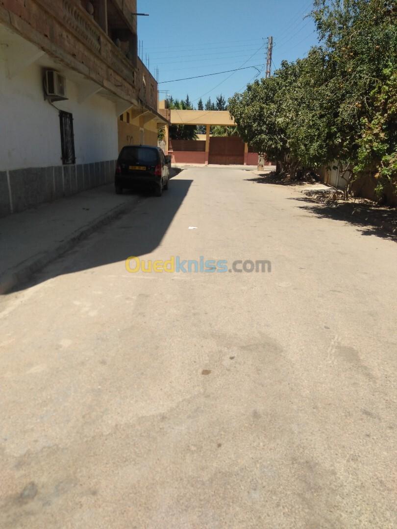 Vente bien immobilier Relizane Oued rhiou