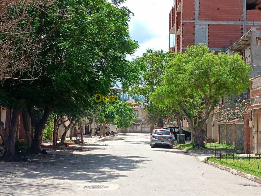 Vente Duplex F7 Alger Bordj el bahri