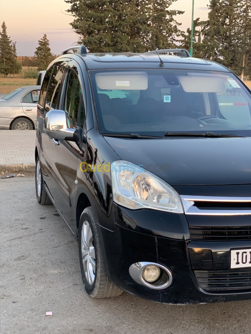 Citroen Berlingo 2010 Mlti ispace